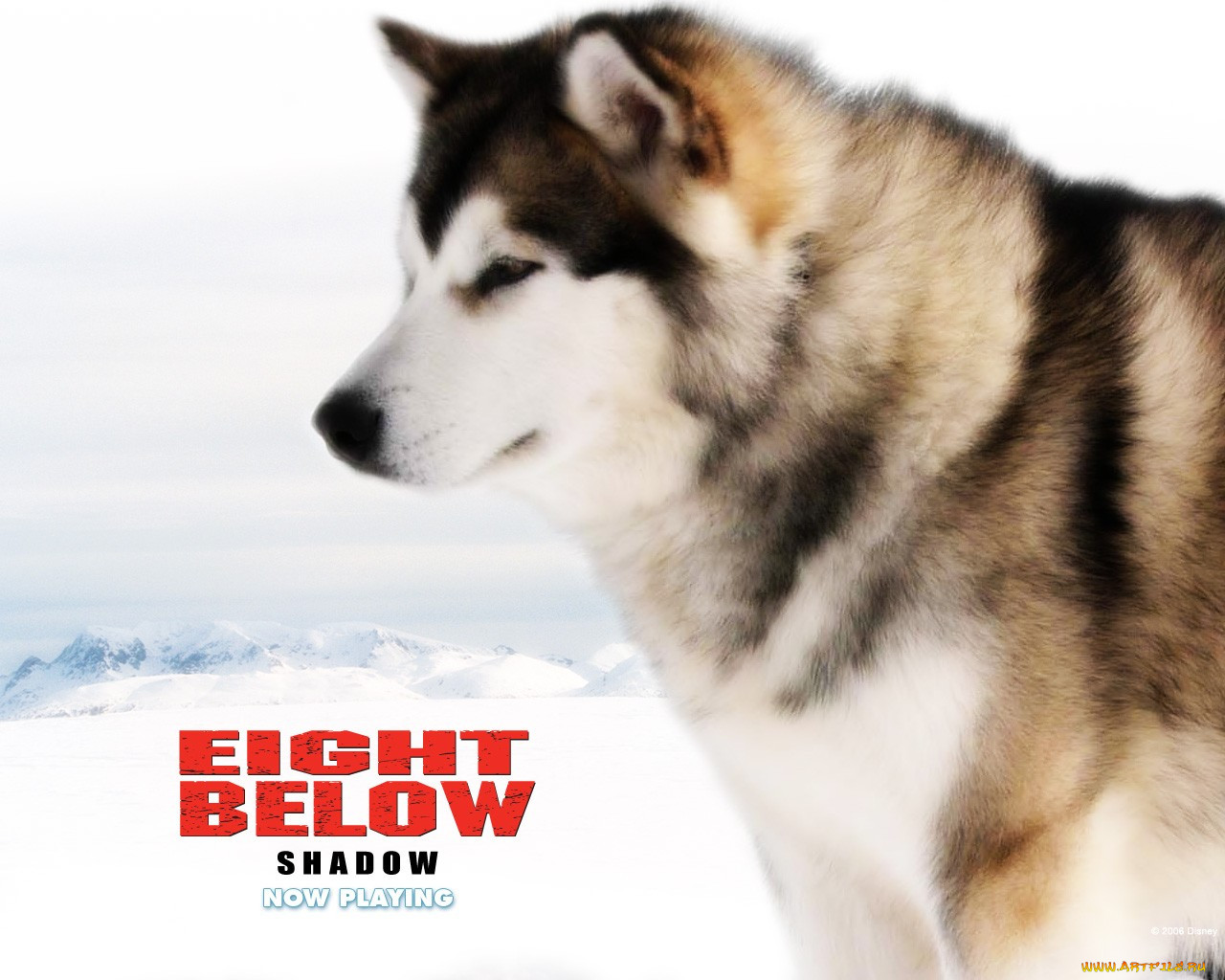 , , eight, below